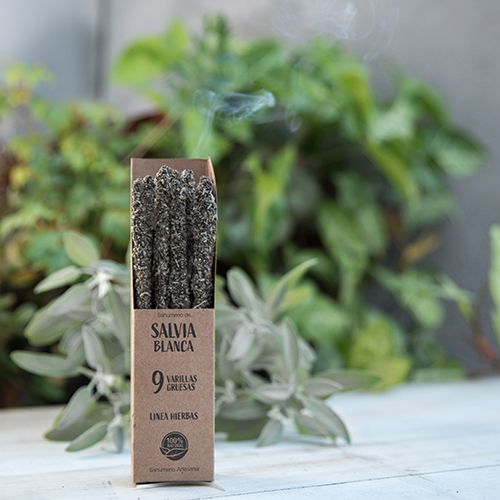 Linha Ervas e Flores Salvia Branca 3