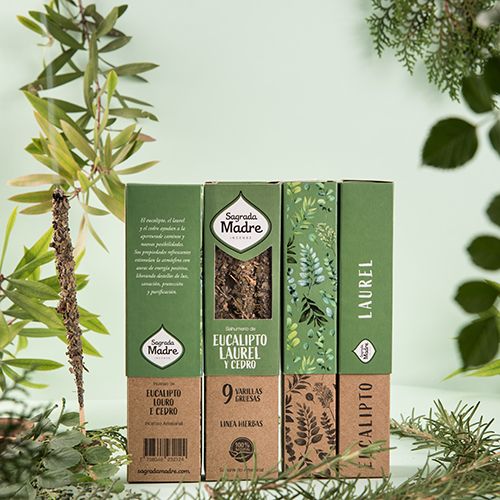 Linha Ervas e Flores Eucalipto Louro 3