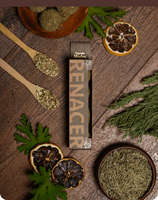 BMB Herbal X4 Renascer 1