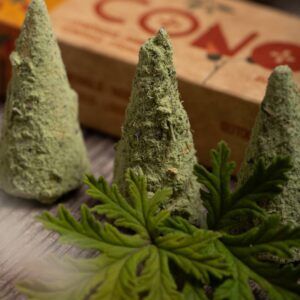 Cone Citronela e Laranja