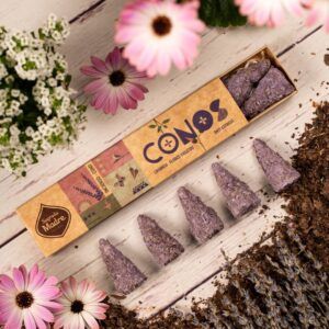 Cone Violeta e Lavanda