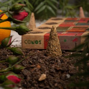 Cone Calêndula